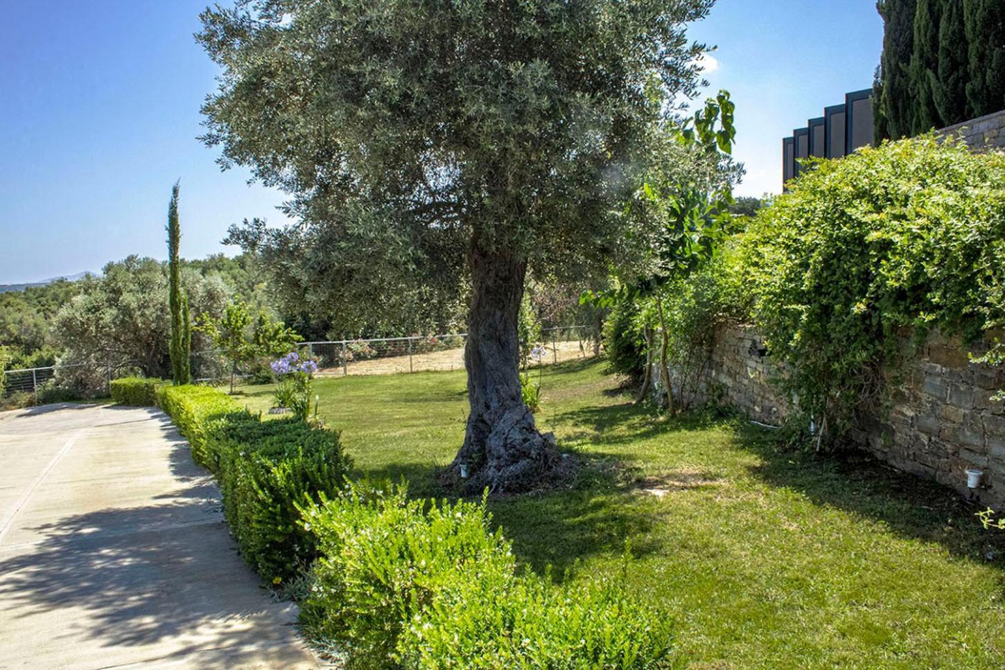 Arion Krini Villa Amnátos Dış mekan fotoğraf