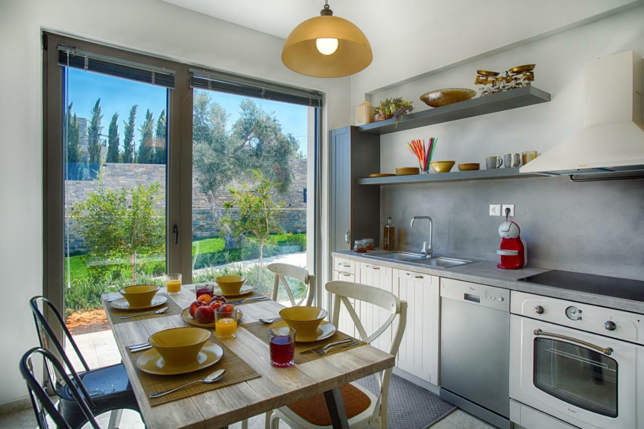 Arion Krini Villa Amnátos Dış mekan fotoğraf