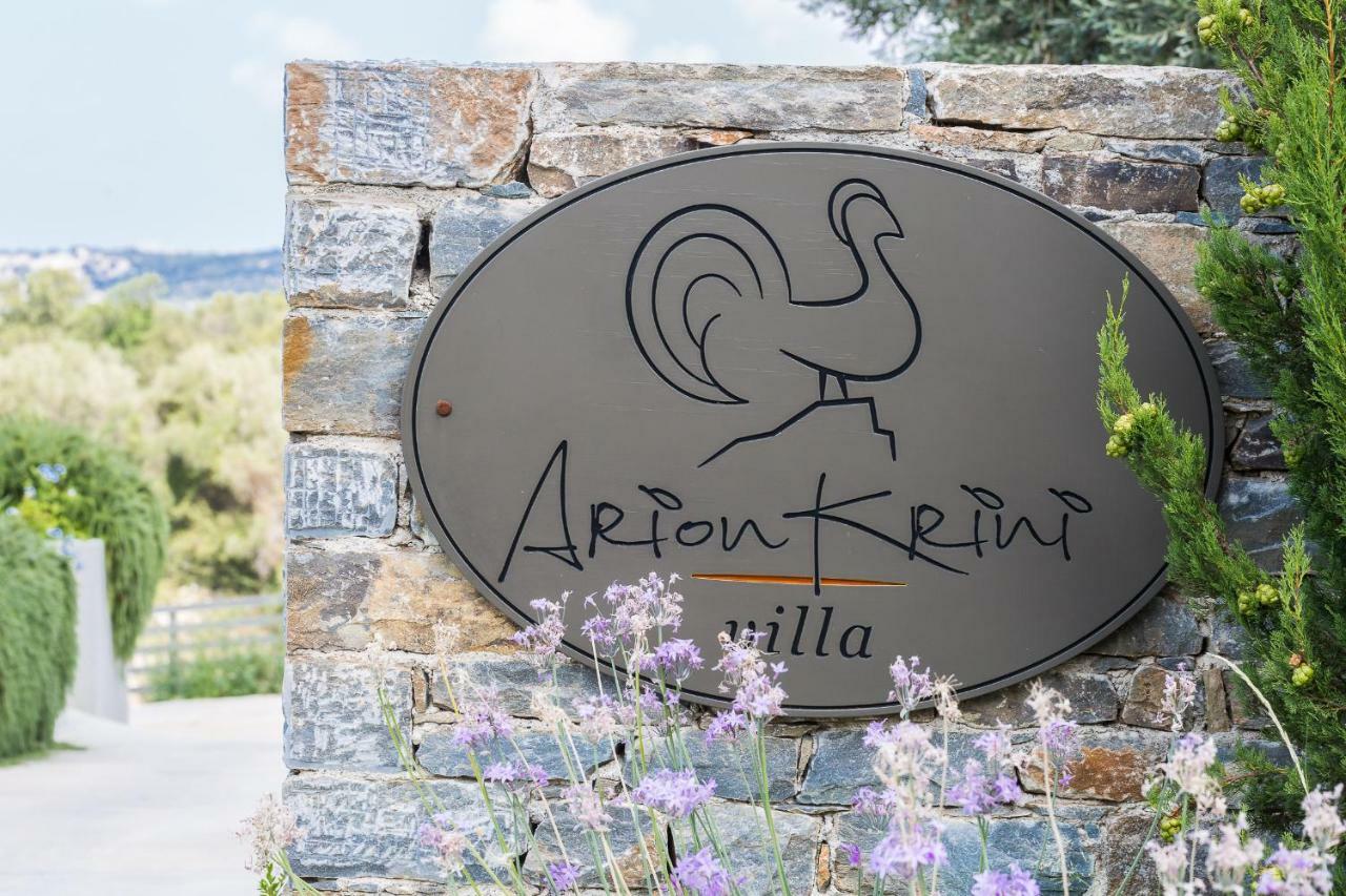 Arion Krini Villa Amnátos Dış mekan fotoğraf