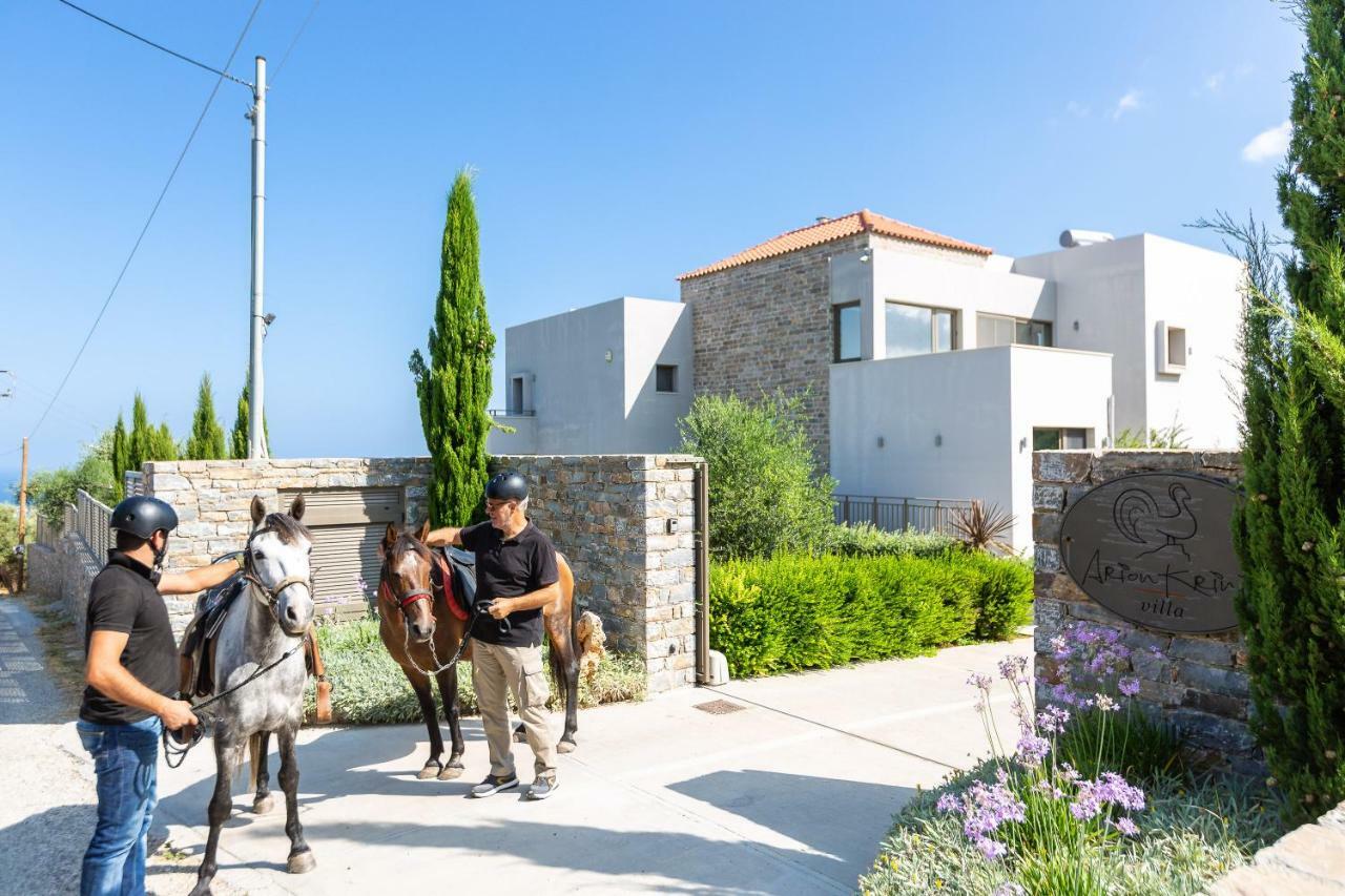Arion Krini Villa Amnátos Dış mekan fotoğraf